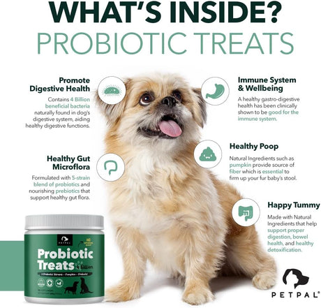 PetPal | Probiotic 4 Billion Soft Chew Treats for Dogs