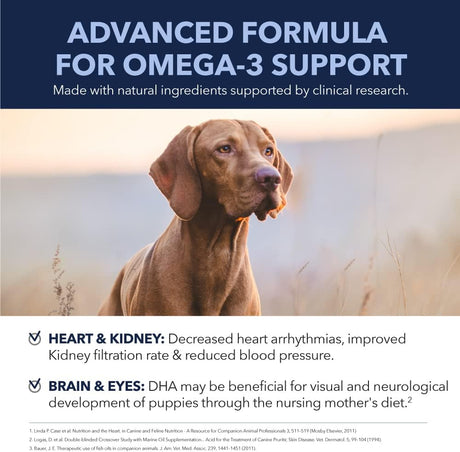 PetPal | Skin & Coat Omega Soft Chew Treats for dogs