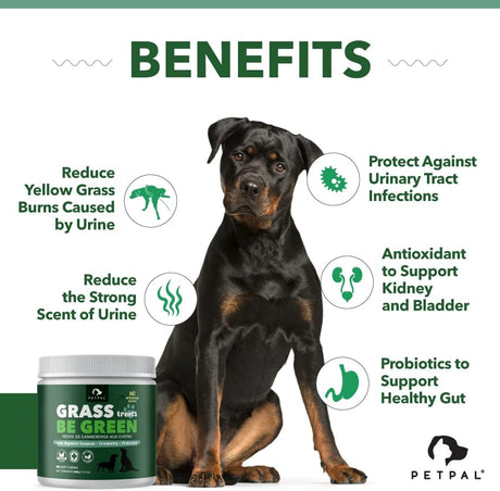 PetPal | Green Grass Urine Soft Chew Treats for Dogs