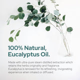 Plant of Life | Organic Essential Oil 1oz