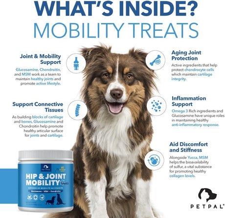 PetPal | Hip & Joint Mobility - soft Chews with Chondroitin & MSM For Pet Neo Wholesale Co.