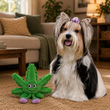 Mary Jane the Weed Leaf | 420 Dog Toy & Collectible Plush For Pet PAW20