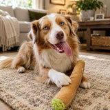B the Blunt | 420 Dog Toy & Collectible Plush For Pet PAW20