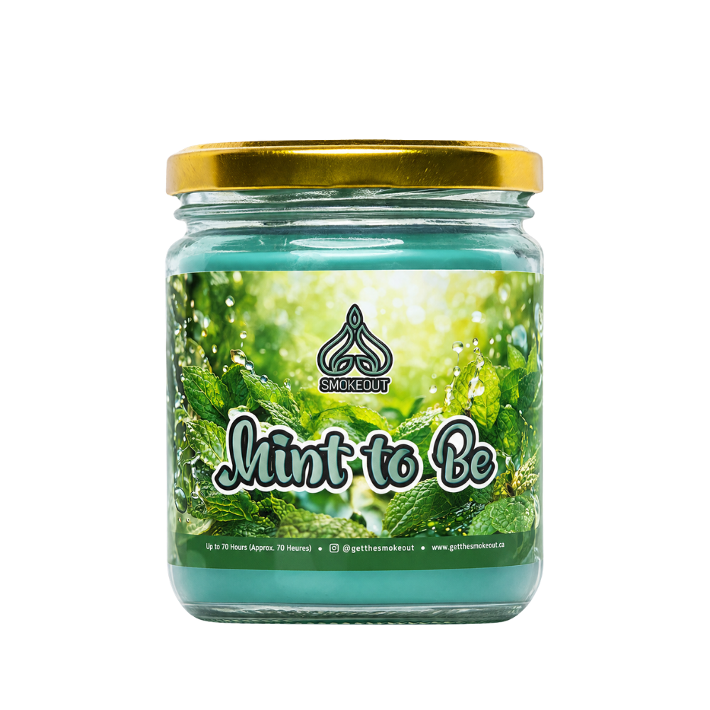 SMOKE OUT odour eliminating candle 13 oz. Candle 420 Paradise BLUEBERRY DELIGHT