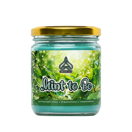 SMOKE OUT odour eliminating candle 13 oz. Candle 420 Paradise BLUEBERRY DELIGHT