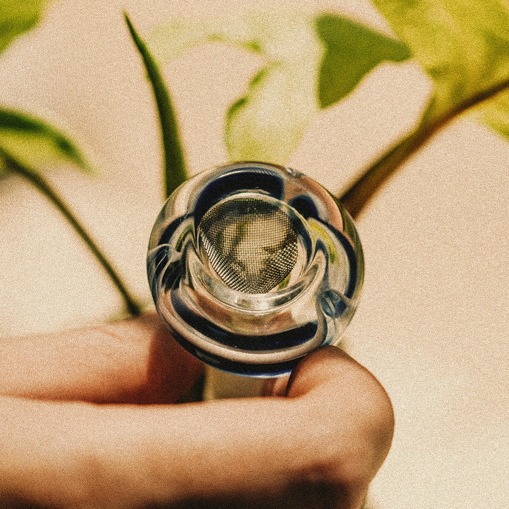 Randy's | Stainless Steel Screen Jar of 36 Metal Screen Smoking Cat Distribution