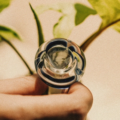 Randy's | Stainless Steel Screen Jar of 36 Metal Screen Smoking Cat Distribution