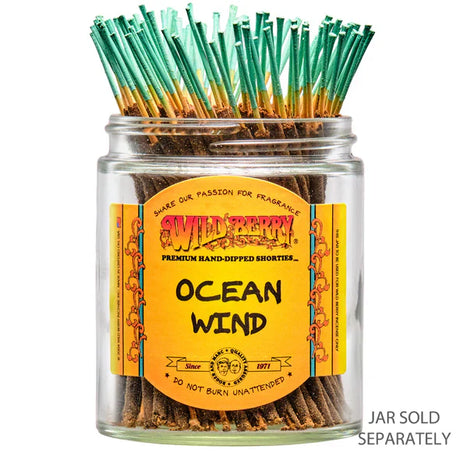 WILD BERRY | 4" Incense Shorties - 100ct Incense LEHIGH WHOLESALE OCEAN WIND