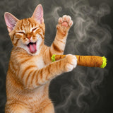 Lil' B the Blunt | 420 Cat Toy & Collectible Plush For Pet PAW20