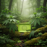 TBBC | Acrylic NEON Rolling Tray Tray THEBOOMBOXCLUB Canada